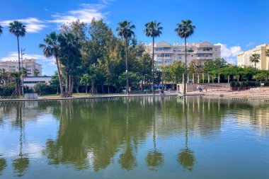 MALAGA, İspanya - 3 Mayıs 2025: Malaga, İspanya 'daki Batı Park' ta yemyeşil ve huzurlu yollarla çevrili sakin bir sabah yürüyüşünün tadını çıkarmak.