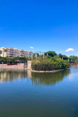 MALAGA, İspanya - 3 Mayıs 2025: Malaga, İspanya 'daki Batı Park' ta yemyeşil ve huzurlu yollarla çevrili sakin bir sabah yürüyüşünün tadını çıkarmak.