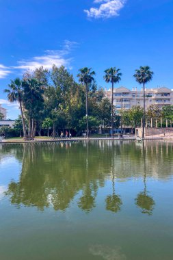 MALAGA, İspanya - 3 Mayıs 2025: Malaga, İspanya 'daki Batı Park' ta yemyeşil ve huzurlu yollarla çevrili sakin bir sabah yürüyüşünün tadını çıkarmak.