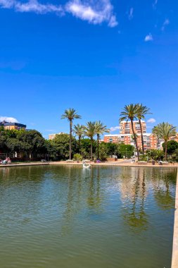 MALAGA, İspanya - 3 Mayıs 2025: Malaga, İspanya 'daki Batı Park' ta yemyeşil ve huzurlu yollarla çevrili sakin bir sabah yürüyüşünün tadını çıkarmak.