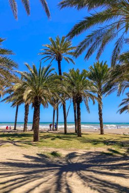 TORREMOLINOS, SPAIN - 30 Nisan 2025: Canlı şehir merkezinden manzaralı deniz geçidine doğru sakin bir yürüyüş yapmak, İspanya 'nın Torremolinos kentindeki büyüleyici sahil atmosferinde ıslanmak.