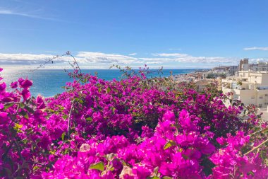 TORREMOLINOS, SPAIN - 30 Nisan 2025: Canlı şehir merkezinden manzaralı deniz geçidine doğru sakin bir yürüyüş yapmak, İspanya 'nın Torremolinos kentindeki büyüleyici sahil atmosferinde ıslanmak.