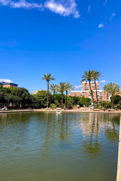 MALAGA, İspanya - 3 Mayıs 2025: Malaga, İspanya 'daki Batı Park' ta yemyeşil ve huzurlu yollarla çevrili sakin bir sabah yürüyüşünün tadını çıkarmak.