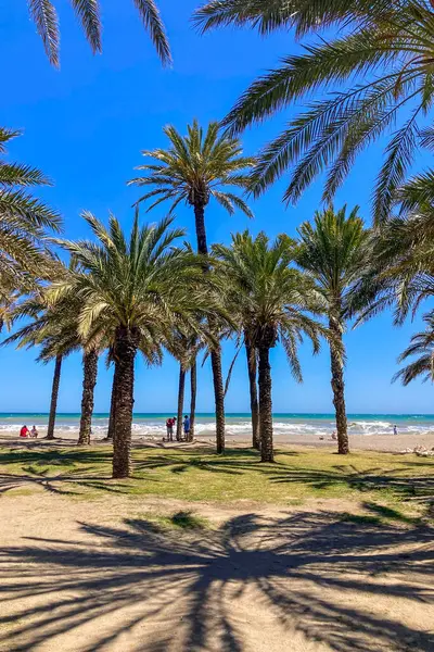 TORREMOLINOS, SPAIN - 30 Nisan 2025: Canlı şehir merkezinden manzaralı deniz geçidine doğru sakin bir yürüyüş yapmak, İspanya 'nın Torremolinos kentindeki büyüleyici sahil atmosferinde ıslanmak.