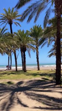 TORREMOLINOS, SPAIN - 30 Nisan 2025: Canlı şehir merkezinden manzaralı deniz geçidine doğru sakin bir yürüyüş yapmak, İspanya 'nın Torremolinos kentindeki büyüleyici sahil atmosferinde ıslanmak.