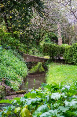 Atlantik Botanik Bahçesi, Gijon, Asturias, İspanya 'da yemyeşil, doğal bitki örtüsü ve huzurlu yürüyüş yollarıyla dolu muhteşem manzaralar sunar.