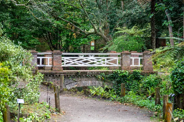 Atlantik Botanik Bahçesi, Gijon, Asturias, İspanya 'da yemyeşil, doğal bitki örtüsü ve huzurlu yürüyüş yollarıyla dolu muhteşem manzaralar sunar.