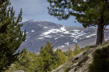 Sierra Nevada Ulusal Parkı, İspanya 'da bahar aylarında Mulhacen tepesine yürüyüş yolu.