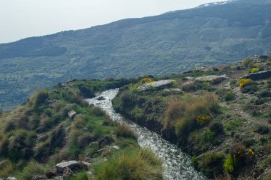 İlkbaharda eriyen kardan akan su akıntısı, Sierra Nevada, Endülüs, İspanya