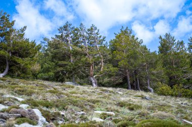 Sierra Nevada Ulusal Parkı, İspanya 'da bahar aylarında Mulhacen tepesine yürüyüş yolu.