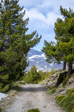 Sierra Nevada Ulusal Parkı, İspanya 'da bahar aylarında Mulhacen tepesine yürüyüş yolu.