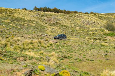 SIERRA NEVADA, İspanya - 18 Mayıs 2025: 