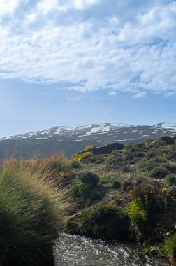 İlkbaharda eriyen kardan akan su akıntısı, Sierra Nevada, Endülüs, İspanya