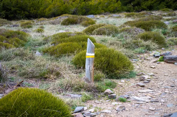 Sierra Nevada Ulusal Parkı, İspanya 'da bahar aylarında Mulhacen tepesine yürüyüş yolu.