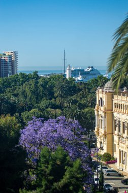 MALAGA, SPAIN - 28 Mayıs 2025: Jakaranda ağacı görkemli bir şekilde çiçek açıyor, canlı mor çiçekleri ile sokakları boyuyor ve İspanya 'nın Malaga kentinde doğal güzelliklere dokunuyor