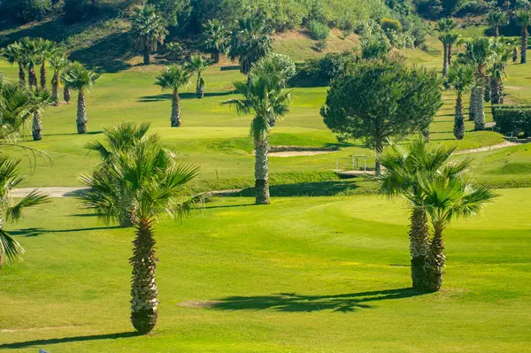 TORREMOLINOS, SPAIN - 28 Mayıs 2025: Belediye Golf Kulübü, golfçülerin güzel manzaralarla çevrili rahatlatıcı bir oyunun keyfini çıkarabilecekleri manzaralı ve bakımlı bir saha sunuyor