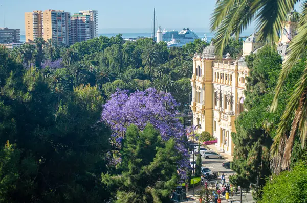 MALAGA, SPAIN - 28 Mayıs 2025: Jakaranda ağacı görkemli bir şekilde çiçek açıyor, canlı mor çiçekleri ile sokakları boyuyor ve İspanya 'nın Malaga kentinde doğal güzelliklere dokunuyor