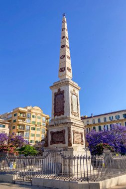 MALAGA, SPAIN - 28 Mayıs 2025: Jakaranda ağacı görkemli bir şekilde çiçek açıyor, canlı mor çiçekleri ile sokakları boyuyor ve İspanya 'nın Malaga kentinde doğal güzelliklere dokunuyor