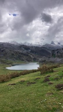 İspanya 'nın Asturias kentindeki Picos de Europa dağlarında yuva yapmış pitoresk Covadonga Gölleri nefes kesici doğal güzellik ve sükunet sunuyor.