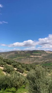 Kırsal alanlar büyülü yeşil renklerle parıldıyor, İspanya 'nın Granada eyaletinde sakin ve pitoresk bir doğal manzara yaratıyor.,