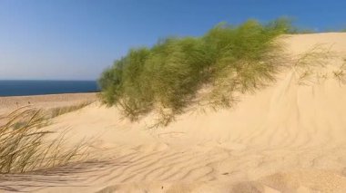 Valdevaqueros Dune, İspanya 'nın Cebelitarık Boğazı boyunca Tarifa' da bulunan büyüleyici bir kum tepesidir.