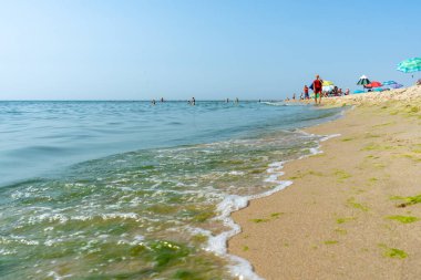 ZATOKA, UKRAINE - 25 Temmuz 2021: Karadeniz kıyısının sakin güzelliğini yakalayan, Ukrayna 'nın Zatoka kentindeki yeşil alglerle kaplı sahilin manzarası.
