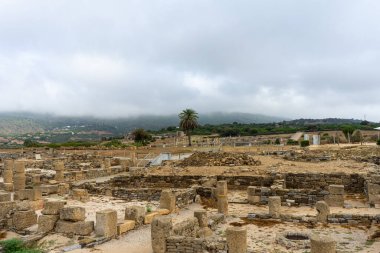 TARIFA, İspanya - 1 Eylül 2024: Tarifa, İspanya 'da Atlantik Okyanusu kıyısında 1 Eylül 2024' te Bolonia kumulu