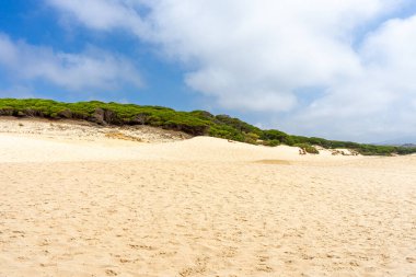 Tarifa, Endülüs, İspanya 'da Atlantik Okyanusu kıyısında Bolonya kumulları