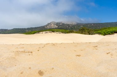 Tarifa, Endülüs, İspanya 'da Atlantik Okyanusu kıyısında Bolonya kumulları