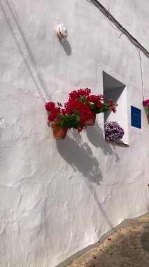 FRIGILIANA, SPAIN - 10 Mayıs 2025: Frigiliana, İspanya 'da beyazlatılmış evler ve renkli çiçeklerle çevrili büyüleyici dar sokaklarda huzurlu bir yürüyüş