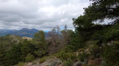 Yunquera 'nın panoramik manzarası ve Puerto Saucillo' dan uzanan çam ormanı manzarası, Sierra de las Nieves Ulusal Parkı, Endülüs, İspanya