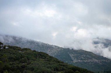 Pinewood 'dan Pinsapo de las Escaleretas' a, Sierra de Las Nieves Ulusal Parkı 'na kadar olan yürüyüş parkının panoramik görüntüsü.