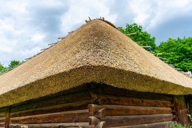 Ukrayna 'nın tipik bir antik evi, Ukrayna' daki geleneksel kırsal mimari ve kültür mirasını yansıtan, saman ile kaplıdır..