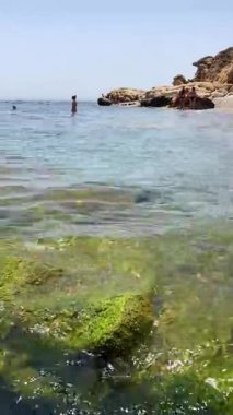 SAN DIEGO, İspanya - 19 Ağustos 2024: Endülüs, İspanya 'daki Cala Sardina Sahili' nin (Playa de Cala Sardina) nefes kesici manzarası