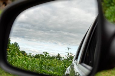 Yeşillik yeşil bir çiftlik arazisi araba tarafındaki pencereden görülür kırsal alanda huzurlu bir kırsal anı yakalar..