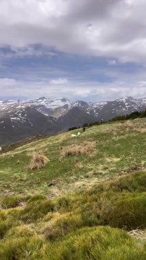 Sierra Nevada Ulusal Parkı, İspanya 'da bahar aylarında Mulhacen tepesine yürüyüş yolu.