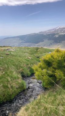 İlkbaharda eriyen kardan akan su akıntısı, Sierra Nevada, Endülüs, İspanya