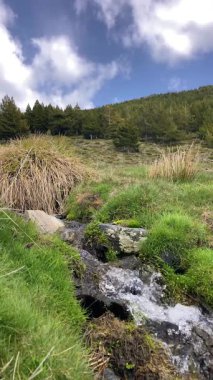 İlkbaharda eriyen kardan akan su akıntısı, Sierra Nevada, Endülüs, İspanya