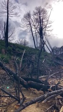 İspanya, Mijas yakınlarında terk edilmiş açık maden ocakları ve yanmış ağaçlar boyunca yürüyüş yapmak. 