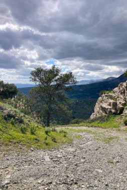 Sierra Tejeda Doğal Parkı 'nda çarpıcı manzaralar ve barışçıl doğa deneyimleri sunan doğa, yürüyüş yollarını çevrelemektedir.