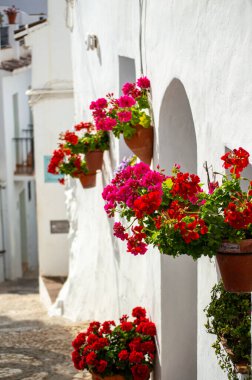 FRIGILIANA, SPAIN - 10 Mayıs 2025: Frigiliana, İspanya 'da beyazlatılmış evler ve renkli çiçeklerle çevrili büyüleyici dar sokaklarda huzurlu bir yürüyüş