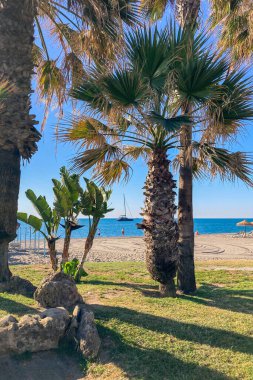 İspanya 'nın Torremolinos sahil şeridi boyunca huzurlu bir yürüyüşün tadını çıkarıyorum. Manzaralı kıyı manzarası ve ferahlatıcı deniz meltemiyle..