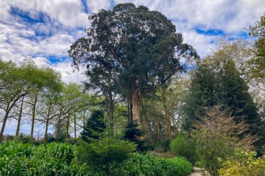 Atlantik Botanik Bahçesi, Gijon, Asturias, İspanya 'da yemyeşil, doğal bitki örtüsü ve huzurlu yürüyüş yollarıyla dolu muhteşem manzaralar sunar.