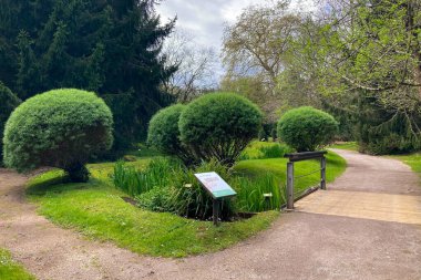 Atlantik Botanik Bahçesi, Gijon, Asturias, İspanya 'da yemyeşil, doğal bitki örtüsü ve huzurlu yürüyüş yollarıyla dolu muhteşem manzaralar sunar.