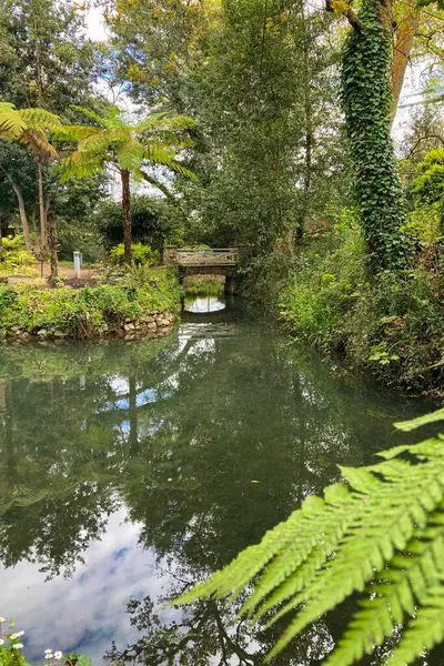 Atlantik Botanik Bahçesi, Gijon, Asturias, İspanya 'da yemyeşil, doğal bitki örtüsü ve huzurlu yürüyüş yollarıyla dolu muhteşem manzaralar sunar.