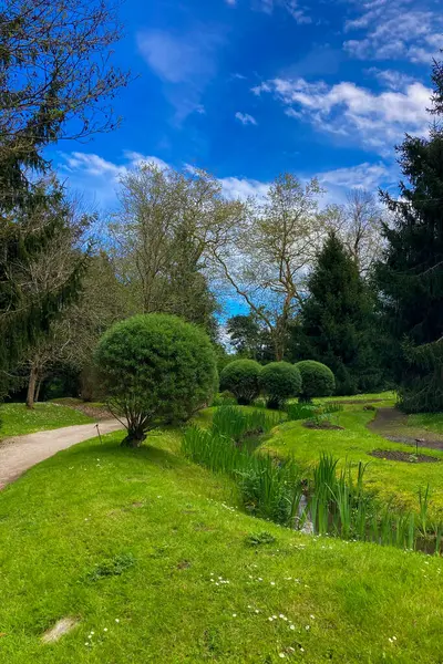 Atlantik Botanik Bahçesi, Gijon, Asturias, İspanya 'da yemyeşil, doğal bitki örtüsü ve huzurlu yürüyüş yollarıyla dolu muhteşem manzaralar sunar.