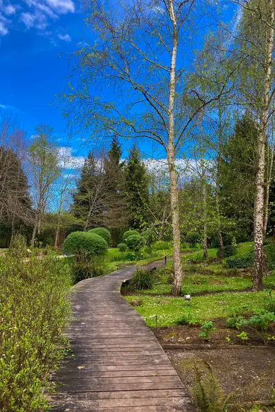 Atlantik Botanik Bahçesi, Gijon, Asturias, İspanya 'da yemyeşil, doğal bitki örtüsü ve huzurlu yürüyüş yollarıyla dolu muhteşem manzaralar sunar.