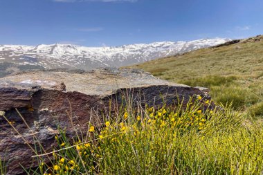Sierra Nevada Ulusal Parkı, İspanya 'da bahar aylarında Mulhacen tepesine yürüyüş yolu.