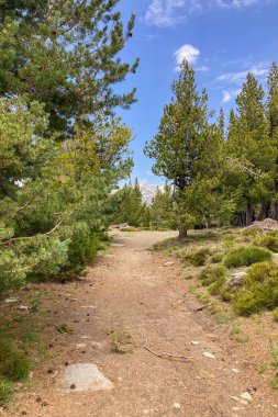 Sierra Nevada Ulusal Parkı, İspanya 'da bahar aylarında Mulhacen tepesine yürüyüş yolu.