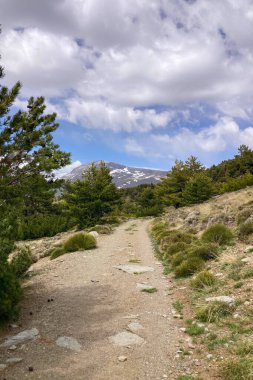 Sierra Nevada Ulusal Parkı, İspanya 'da bahar aylarında Mulhacen tepesine yürüyüş yolu.